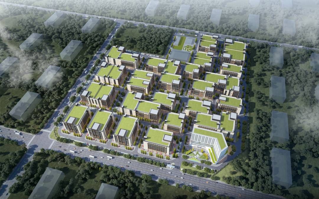 1653877148192272.jpg jq1.jpg